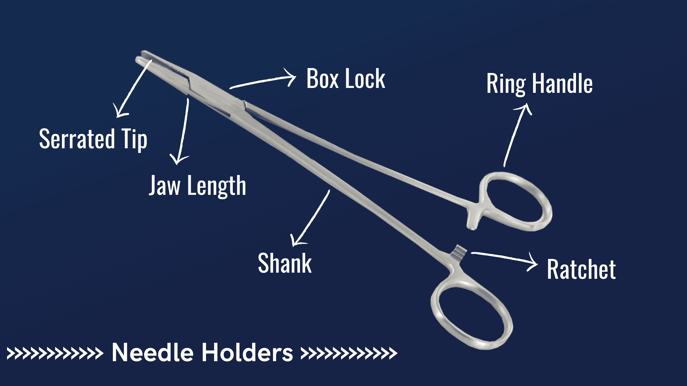 WPI's Top 5 Needle Holders